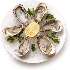 Plat à huîtres en céramique Plat à huîtres <span class=keywords><strong>Assiette</strong></span> à huîtres en <span class=keywords><strong>porcelaine</strong></span> blanche fine - Product Image 5