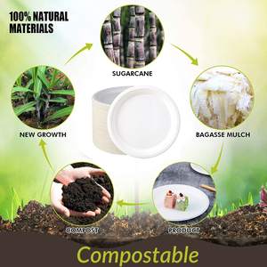 Platos desechables de alta resistencia de 9 pulgadas, platos de papel compostables de caña de azúcar biodegradables blancos de 9 ", plato de bagazo desechable - Product Image 2