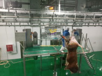 Máquina de Matadero de Reses, Línea de Sacrificio de Vacas, Equipo de Sacrificio de Ganado, Maquinaria de Matadero