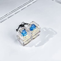 Jouet de décompression, pendentif porte-clés, lumière LED, fidget en acrylique, anti-stress