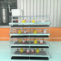 Cage à poulets de type H à 3/4 niveaux, 2 portes, pour 120 à 320 poussins, à bas prix, pour l'élevage avicole