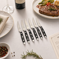 Couteaux à steak sur mesure, fabricant spécialisé, acier inoxydable de qualité supérieure, ensemble de couteaux à bords dentelés pour restaurant