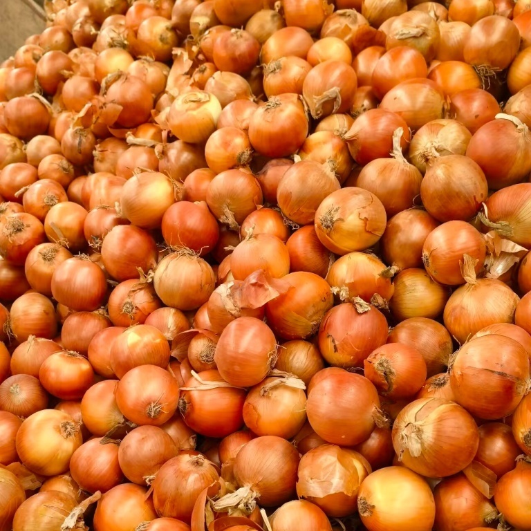 Red Onion Fresh Onion Persian Shallot