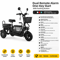 Triciclo Eléctrico de 3 Ruedas para Adultos, 3 Velocidades, Mini Scooter Eléctrico de 10 Pulgadas, Batería de Plomo-Ácido para Desplazamientos Urbanos, Uso con Mascotas y Pasajeros