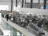 Automatische Duitse Frieten Chips Making Machine Plant