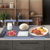 Tapis chauffant pour aliments 24x16 pouces, plateau chauffant électrique en silicone pour décongeler et maintenir les aliments au chaud pour les fêtes, les buffets et l'usage quotidien