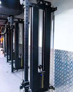 Attrezzatura da Palestra Direttamente dalla Fabbrica, Sistema di Pulegge a Cavo Montato a Parete 3-in-1 Lat Pulldown / Low Row |   Macchina Compatta a Puleggia Singola - Product Image 3