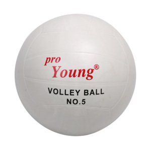Proyoung voleibol suave tamaño oficial Voleibol de goma <span class=keywords><strong>piscina</strong></span> al aire libre y voleibol de playa para juegos familiares - Product Image 1
