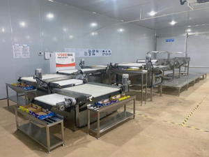 Máquina Automática de Clasificación, Calibración, Selección, Pesaje y Empaquetado de Arándanos - Product Image 2