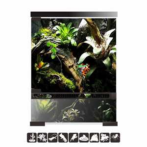 Terrarium en verre pleine grandeur pour reptiles, boîte d'élevage et d'habitat pour serpents, araignées, grenouilles cornées, lézards, escargots, mantes - Product Image 5