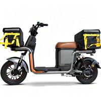 Vélo de livraison électrique 10 pouces à forte capacité de charge, 3 vitesses, avec grand panier de rangement et porte-bagages, idéal pour le transport quotidien de marchandises - Offre Spéciale