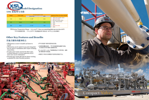 TechnipFMC ANSON Halliburton Schlumberger Baker Hughes Weatherford <span class=keywords><strong>DEMCO</strong></span> (Dresser-Rand)1502 15000PSI 2002 20000PSI - Product Image 6