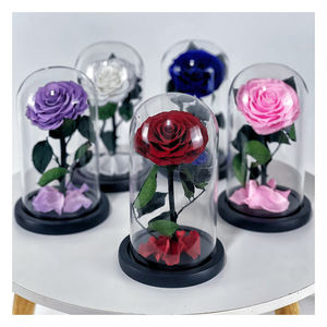 Couvercle en verre de fleur immortelle <span class=keywords><strong>prix</strong></span> fleur préservée <span class=keywords><strong>rose</strong></span> dôme en verre en gros <span class=keywords><strong>rose</strong></span> éternelle roses conservées dans un bocal en verre - Product Image 2