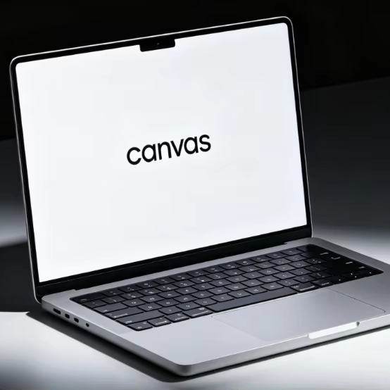 Canvas Pro Lifetime Professional Education Team Plan Premium VIP Assets International Version China Graphics & Multimedia
