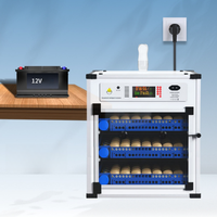 Machine d'incubation automatique d'œufs de poulet en ligne, incubateurs industriels d'œufs pour élevages avicoles