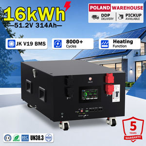 Batería LiFePO4 Apilable de 51.2V y 314Ah, 16kWh, para Almacenamiento Solar, con Control Inteligente y Conexión en Paralelo de 16 Unidades, en Stock en la UE - Product Image 1