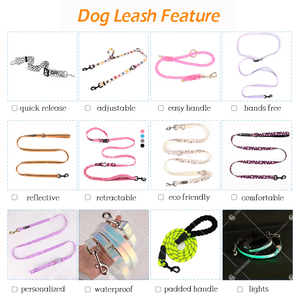 Correa para Perro con Logotipo Personalizado OEM, Correa para Mascotas con Mango de Cuentas, Nailon Resistente para Perros Pequeños y Medianos - Product Image 5