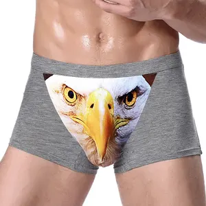 Offre Spéciale hommes sous-vêtements boxer shorts Modal respirant homme culotte confortable doux motif Animal imprimé boxer slip