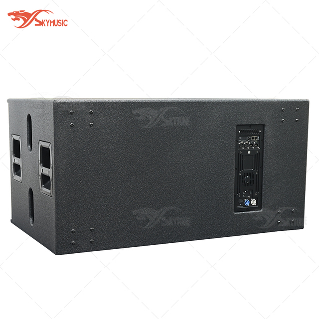 Professional Audio SRX828SP Powered Subwoofer Active Dual 18" Subwoofer Speaker