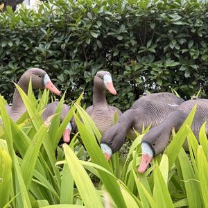 Décoy de chasse en mousse EVA XPE recyclable pour oies et cerfs, cible sauvage 3D pour la décoration de jardin, pour la chasse aux oies du Canada - Product Image 6