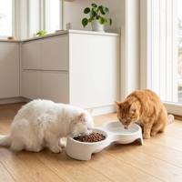 Gamelle double intégrée minimaliste pour chats, design oreilles de chat mignon, station d'alimentation et d'eau pour animaux de compagnie, prix d'usine