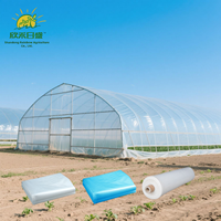 Couverture de serre en HDPE de 200 microns, haute résistance, pour la protection des cultures tropicales en verger