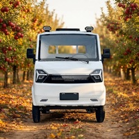 Véhicule utilitaire électrique mini écologique 2 places, vitesse réglable 25-45 km/h pour livraison urbaine flexible