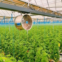 Serre en verre multi-voûtes Venlo avec structure galvanisée à chaud, kit complet pour serres commerciales de fleurs