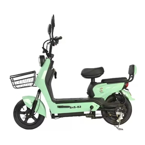 OEM/ODM Vélo électrique <span class=keywords><strong>cargo</strong></span> 2 places nouveau modèle de vélo électrique 350W 48V batterie cadres kit vintage avec OEM/ODM - Product Image 1