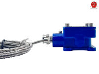 Capteur de température antidéflagrant Ex Db IIC T6 Gb à double sonde Pt100 2BWZD, sonde unique compacte pour zones dangereuses IP66