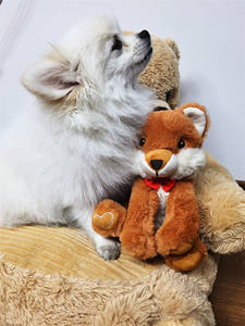 Nuevo Regalo de San Valentín, Peluches de Diseño Personalizado, Animales de Peluche, Lindos y Realistas, Peluche de Zorro Rojo Ártico - Product Image 3