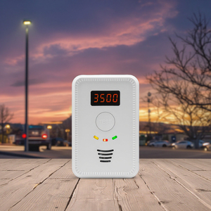 Sản xuất thiết kế mới nấu ăn trong nước Detector de gas Natura Gas Detector Toma corriente pared AC 110V 220V gaz Detector - Product Image 1