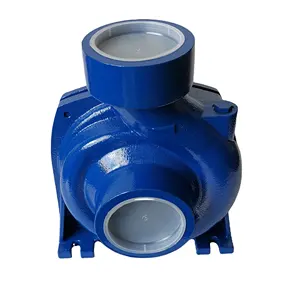 0.75hp Electric Water Pump Booster Centrifugal Pump For Water Supply System And Garden Irrigation