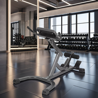 Chaise romaine en acier réglable bas du dos banc d'exercice ischio-jambiers fessiers maison Gym Fitness outil Machine-Extension Machine banc