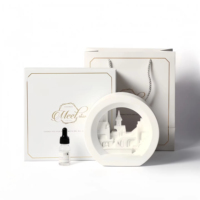 Diffuseur d'huiles essentielles à bougie de conception nouvelle, sans flamme, avec logo personnalisé, lampe en plâtre, parfum, veilleuse moderne, personnalisable