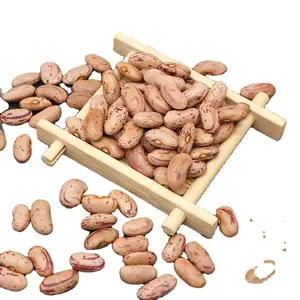 Exported To China's Origin Light Speckled Kidney Beans High Quality And Low Price