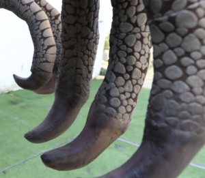 ชุดไดโนเสาร์เวโลซีแรปเตอร์สีน้ำเงินแบบสมจริง ปี 2026 สำหรับผู้ใหญ่  ออกแบบตามสั่ง คุณภาพระดับมืออาชีพ สีสันสดใส เหมาะสำหรับสวนสนุก - Product Image 2