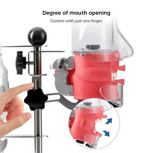 Prix de gros modèle de tête simple modèle de dents de simulateur pour l'enseignement dentaire enseigner l'étude - Product Image 2
