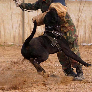 เสื้อกั๊กทำงานถ่วงน้ำหนักหัวเข็มขัดโลหะสำหรับสุนัขและสายรัดสัตว์เลี้ยงแบบถ่วงน้ำหนักง่ายต่อการจับคู่กับสายจูงสุนัขที่มีน้ำหนัก - Product Image 4