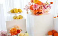 Présentoir de cube en acrylique blanc pour buffet, présentoir de piédestal carré Lucite pour aliments
