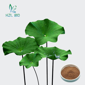 天然蓮の葉エキス粉末10:1蓮の葉エキス - Product Image 1