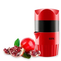 Presse-agrumes manuel multifonctionnel en plastique, mixeur, presse-pastèque, extracteur de jus de fruits, bouteille pour PS-328B