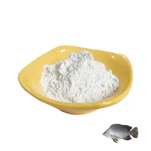 Top Quality Cosmetics Grade Collagen Powder Hydrolyzed Marine Fish Collagen peptide For Skin Whitening CAS 9064-67-9