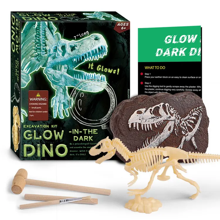 Panduan Pendidikan Anak Baru DIY Fosil Bercahaya Penggalian Kuno Dinosaurus