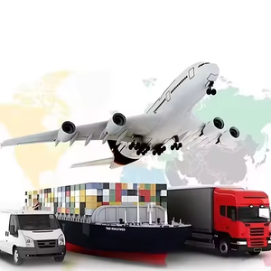 Oltre 15 Anni di Esperienza in Spedizioni Internazionali Porta a Porta DDP, Agente di Spedizione Marittima LCL verso USA e Canada in Cina - Product Image 2