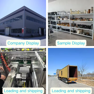 Teng qiang Auto Parts LR001419 Papier Neue Kraftstoff filter für Freelander-Benzin fahrzeuge 3.<span class=keywords><strong>2</strong></span> - Product Image 6