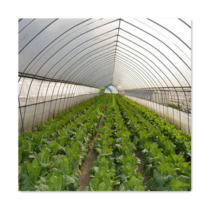 <span class=keywords><strong>Polly</strong></span> Tunnel filets ouvre-fenêtre électrique Uv tissé <span class=keywords><strong>Film</strong></span> cerceau Tubes galvanisés séchoir serre pour fleur grandir avec ventilateurs d'extraction - Product Image 4