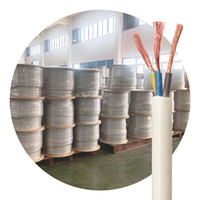 Rvv 300 500V Kabel 2 1,0mm² 1,5mm² 2,5mm² 4mm² Elektrisches Kabel Draht