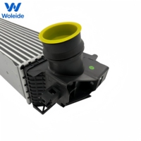 Penjualan Langsung Pabrik Turbo Intercooler 17517617598 B  M  W4582 Cocok untuk B  M  W Seri 1, 2, X1, X2 F40 F45 F44 F46 F48 F39