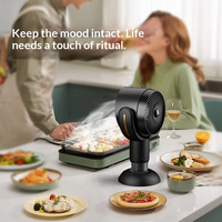 Extracteur de fumée d'huile de bureau portable, hotte aspirante, purificateur d'air à ions négatifs, ventilateur d'extraction puissant pour barbecue et fondue intérieure